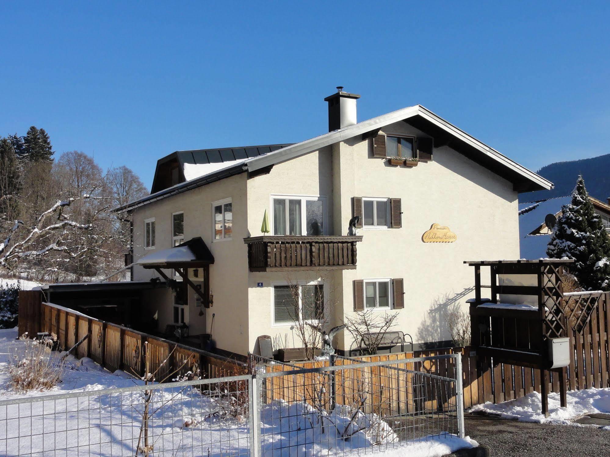 Pension Adlerhorst Штайндорф-ам-Оссиахер-Зее Экстерьер фото